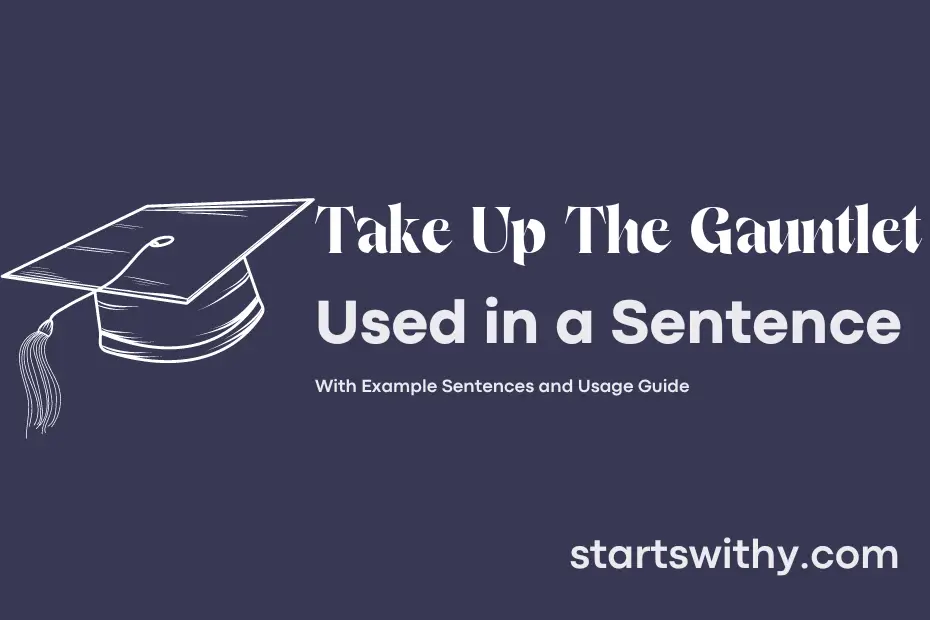 Sentence with Take Up The Gauntlet