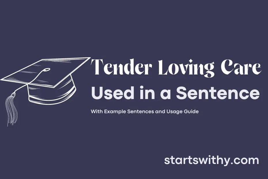 Sentence with Tender Loving Care