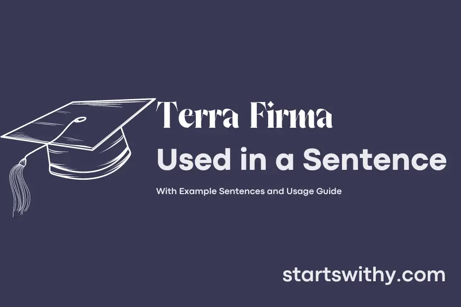Sentence with Terra Firma