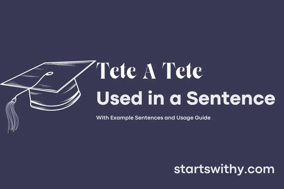 Sentence with Tete A Tete