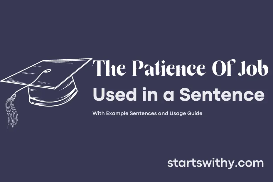 Sentence with The Patience Of Job