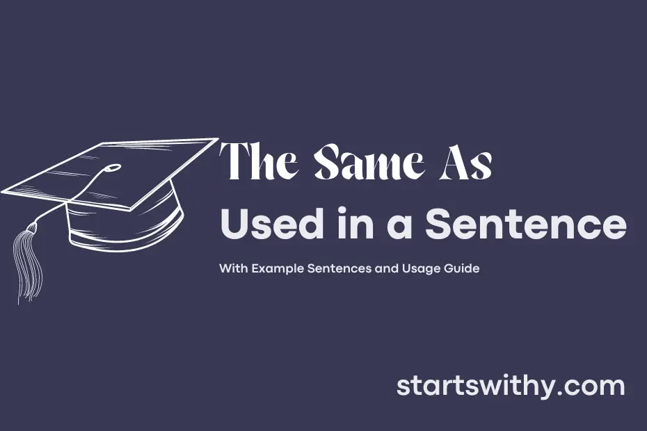 Sentence with The Same As