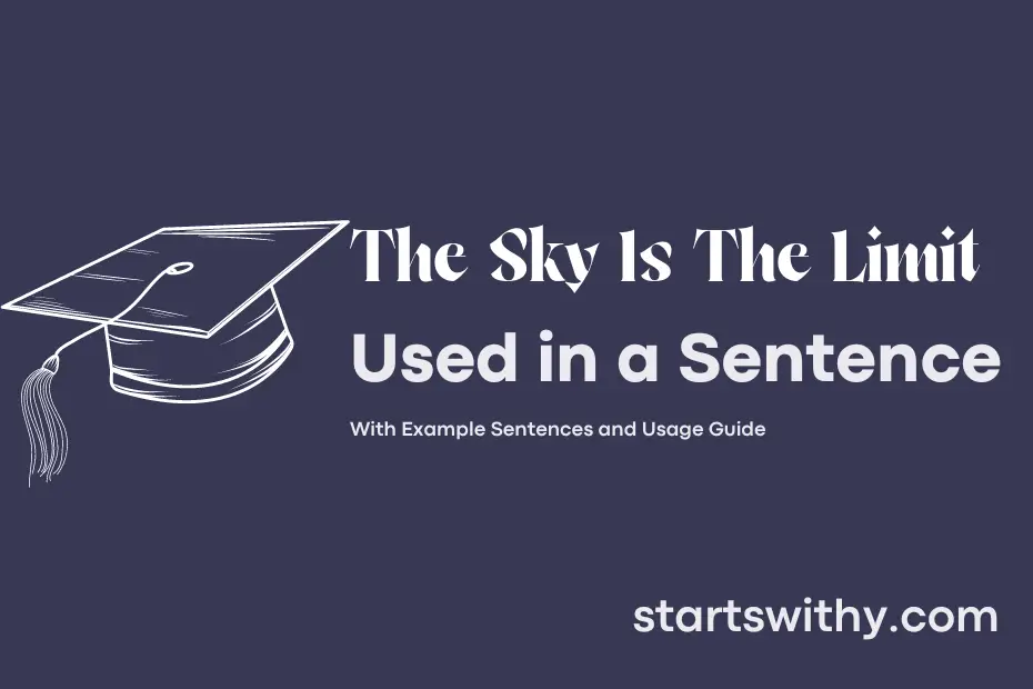 Sentence with The Sky Is The Limit