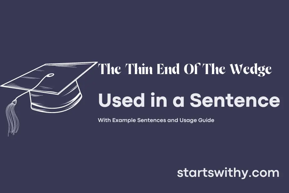 Sentence with The Thin End Of The Wedge