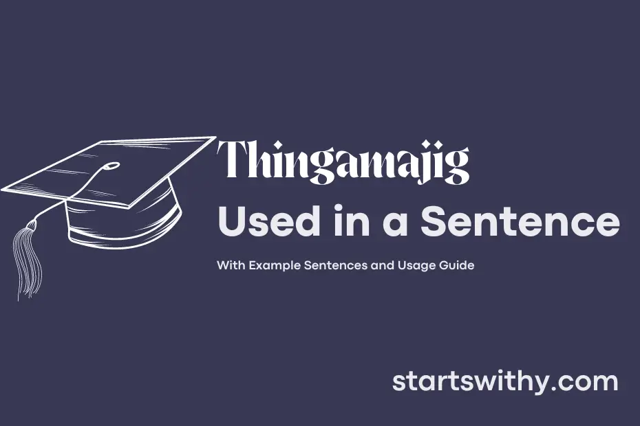 Sentence with Thingamajig