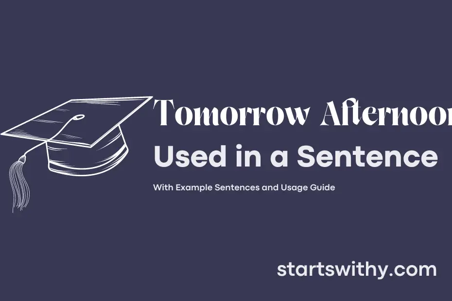 Sentence with Tomorrow Afternoon