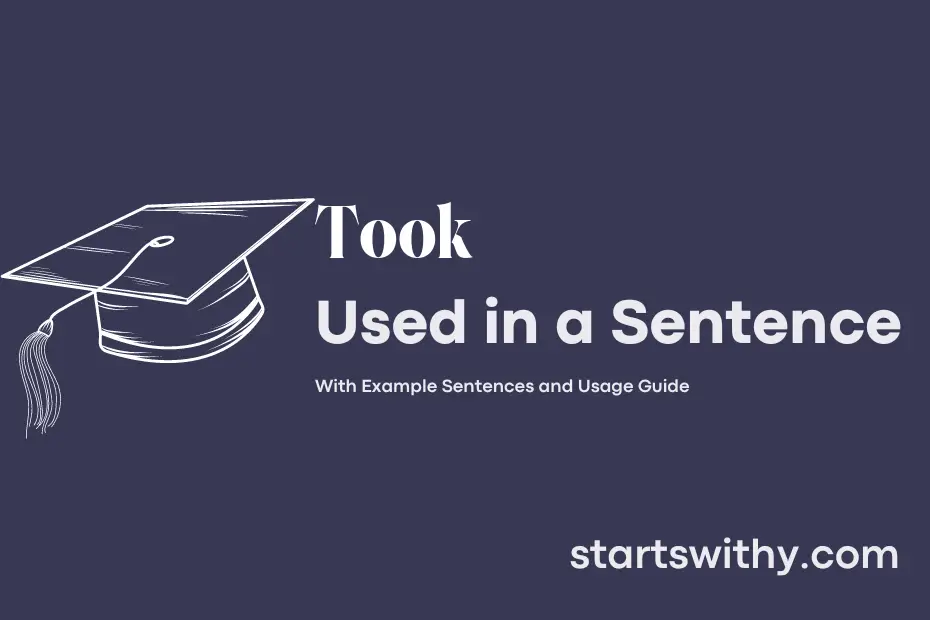 Sentence with Took