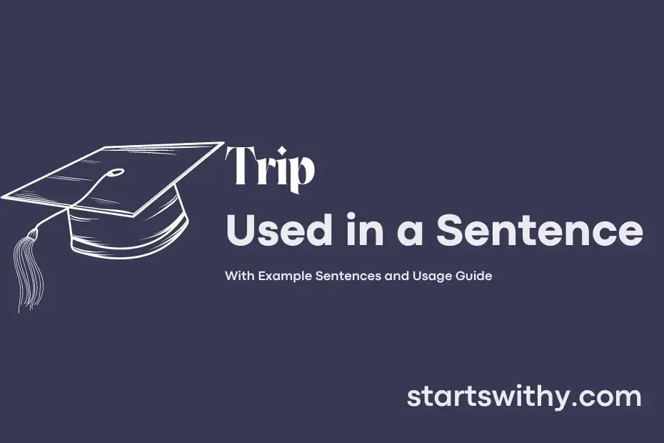 use of trip in a sentence