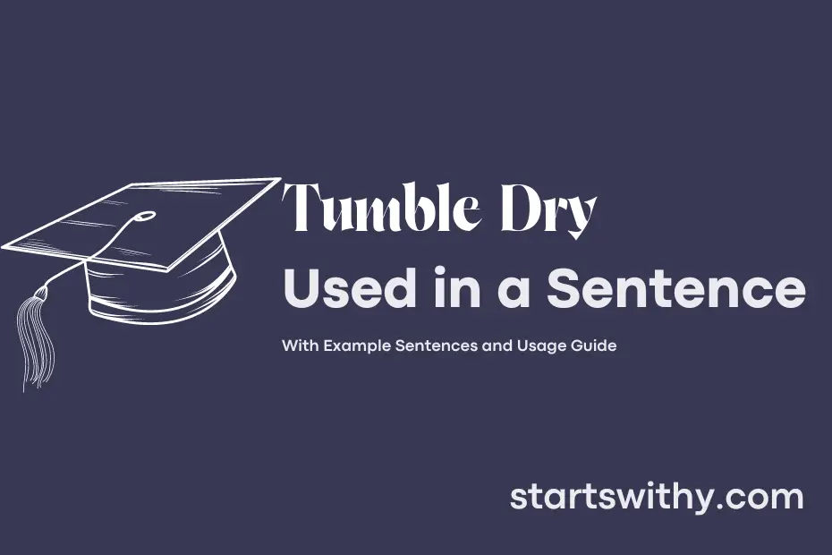 Sentence with Tumble Dry