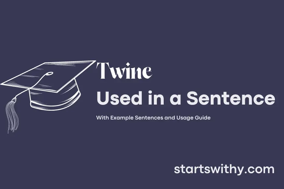Sentence with Twine