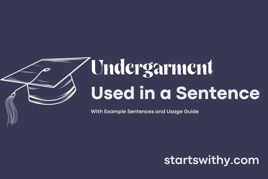 Sentence with Undergarment