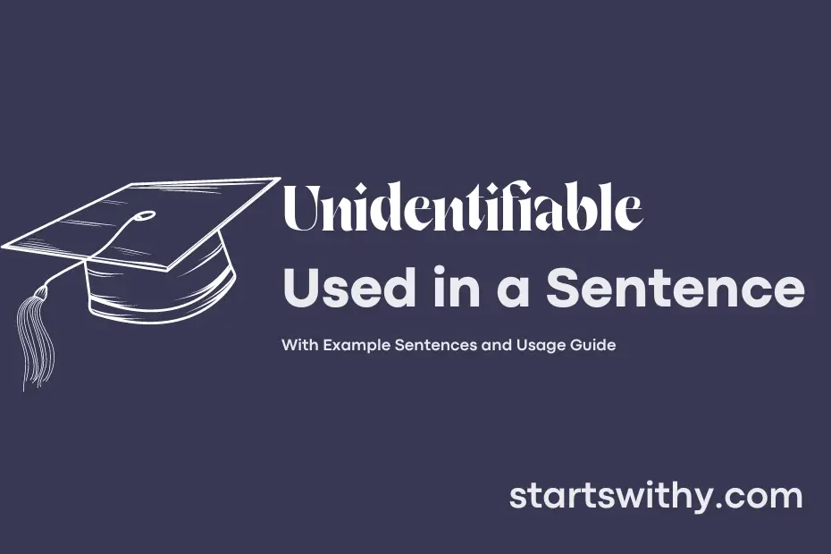 Sentence with Unidentifiable