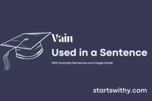 VAIN in a Sentence Examples: 21 Ways to Use Vain