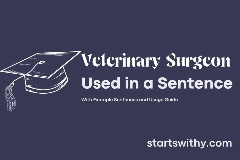 Sentence with Veterinary Surgeon