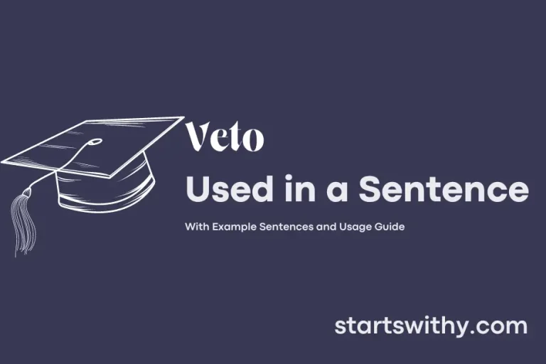 VETO in a Sentence Examples 21 Ways to Use Veto