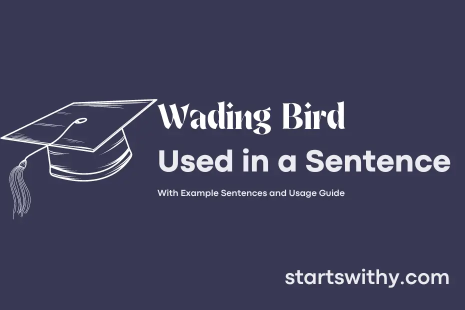 Sentence with Wading Bird