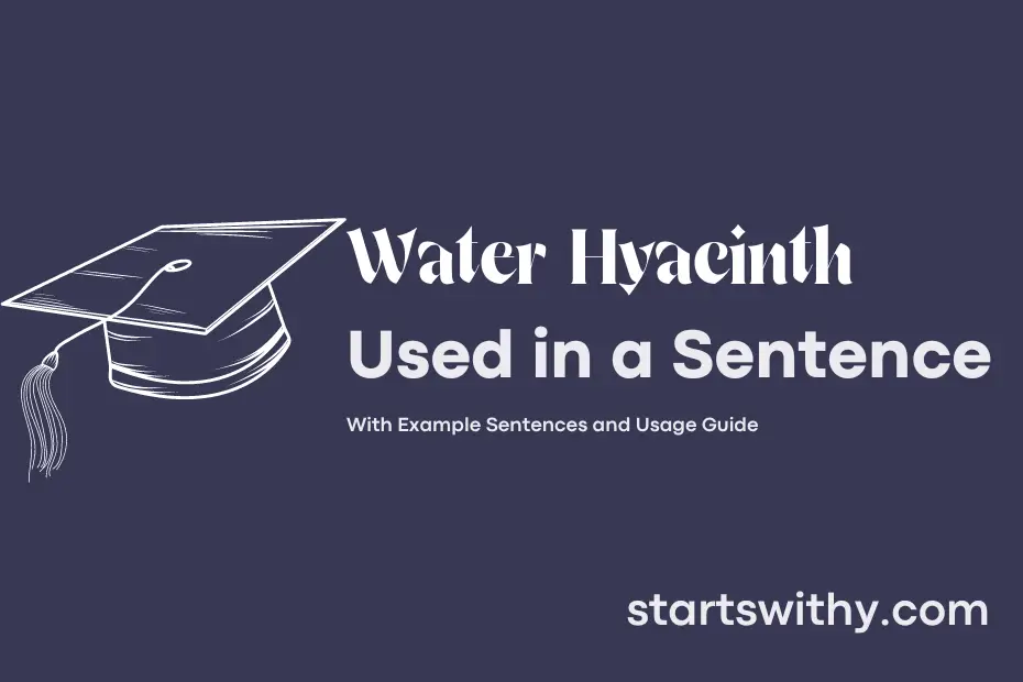 Sentence with Water Hyacinth