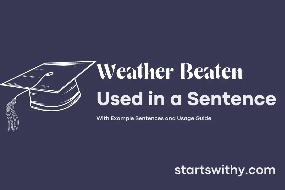Sentence with Weather Beaten