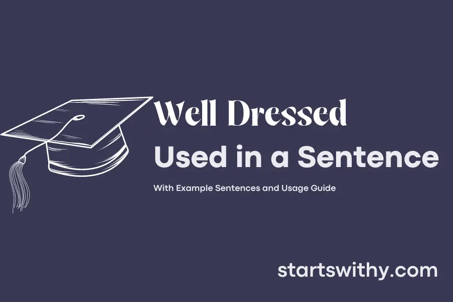 Sentence with Well Dressed