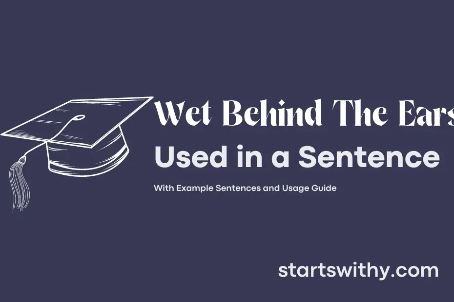 Sentence with Wet Behind The Ears