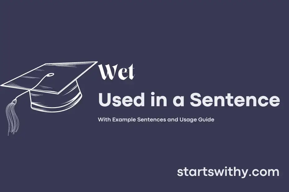 Sentence with Wet