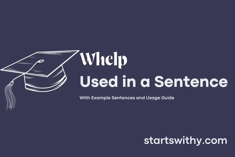 Sentence with Whelp