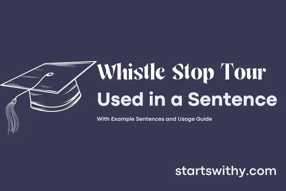 Sentence with Whistle Stop Tour