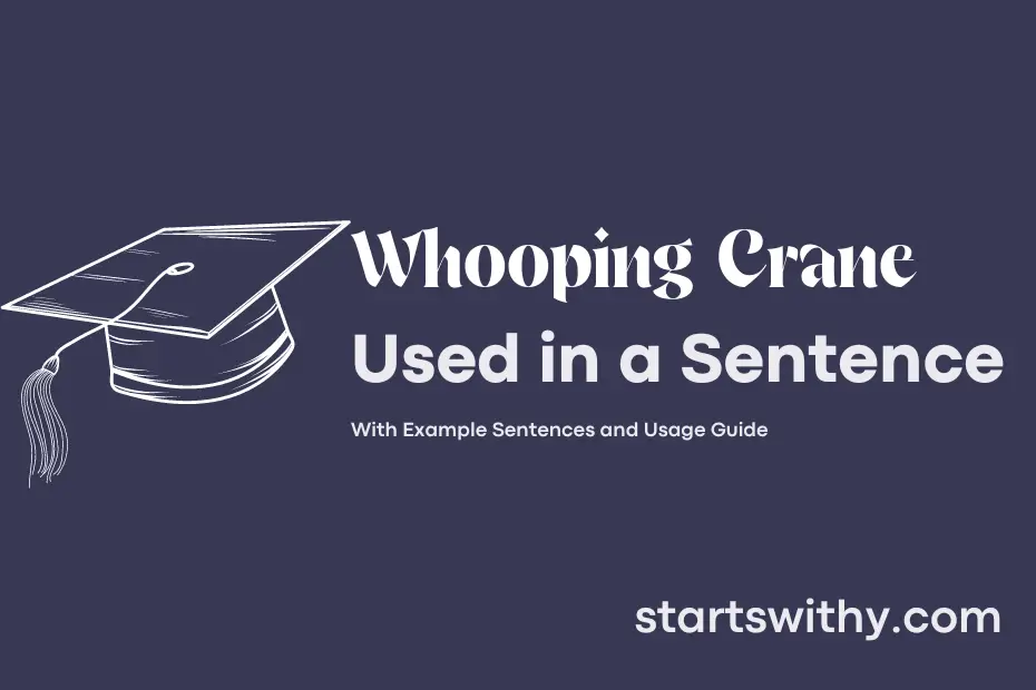 Sentence with Whooping Crane