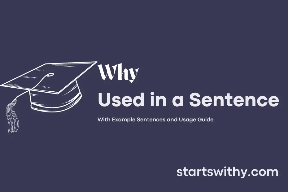 Sentence with Why