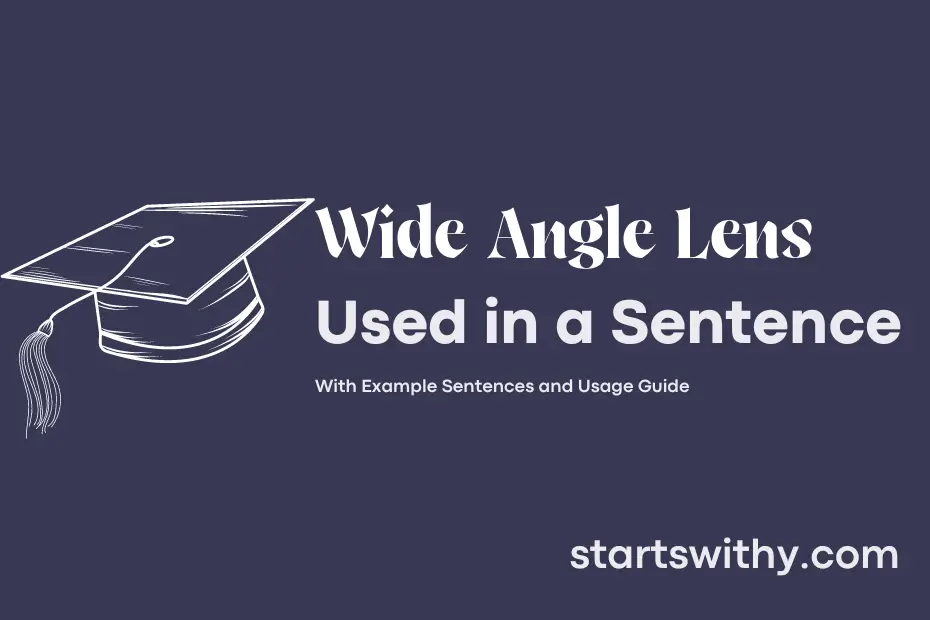Sentence with Wide Angle Lens