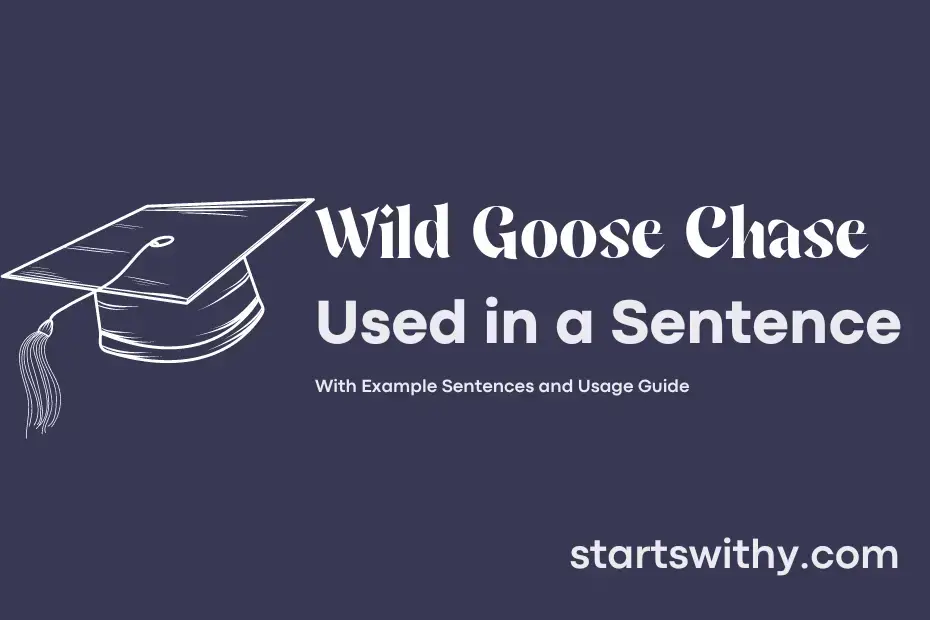 Sentence with Wild Goose Chase