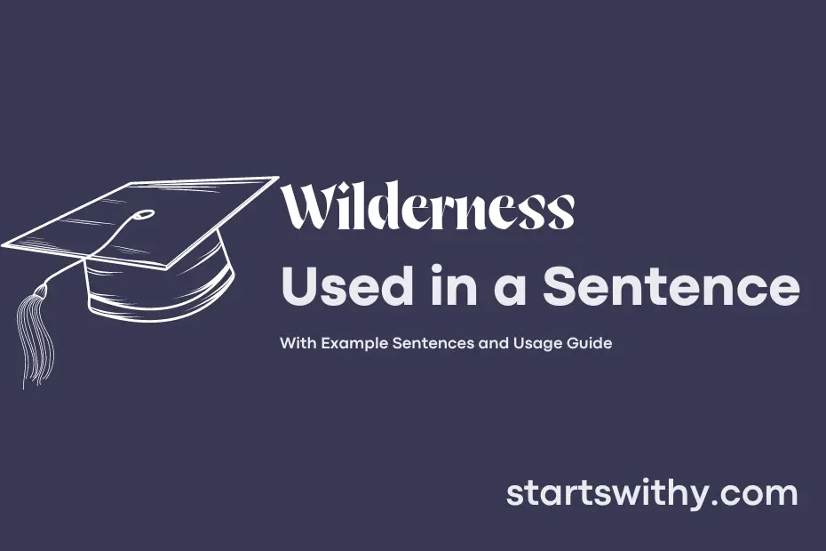 Sentence with Wilderness