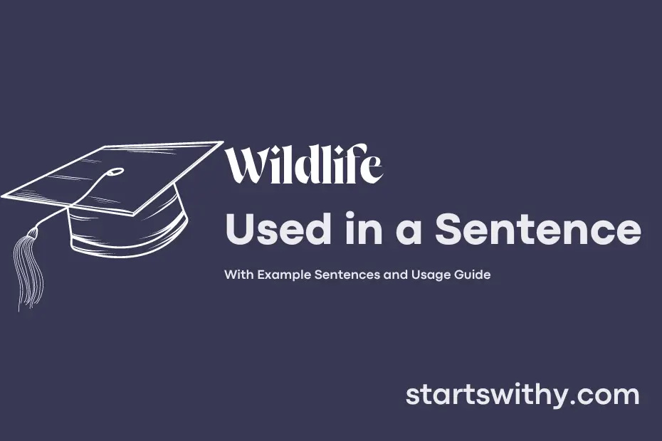 Sentence with Wildlife