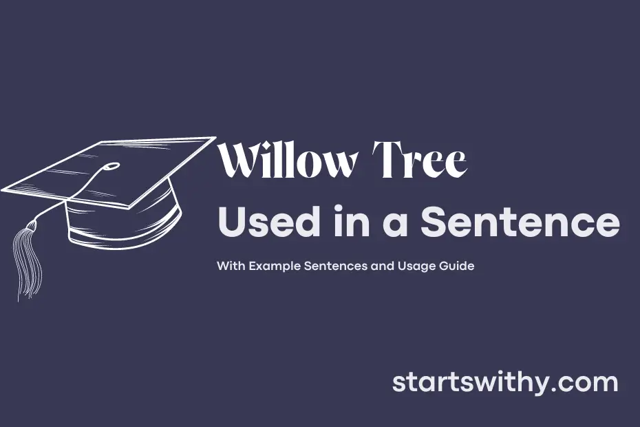 Sentence with Willow Tree
