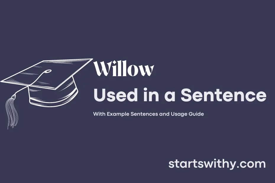 Sentence with Willow