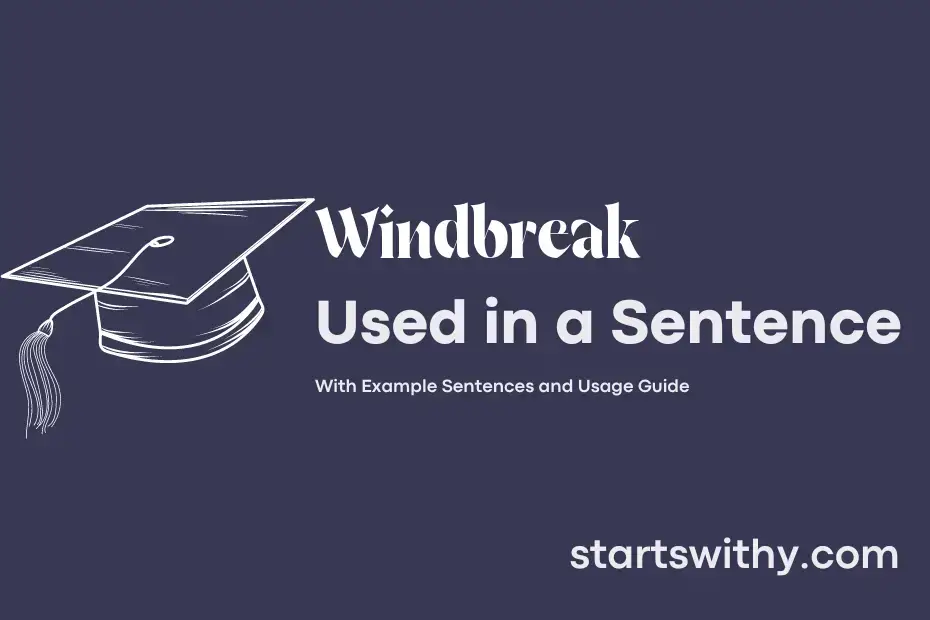 Sentence with Windbreak