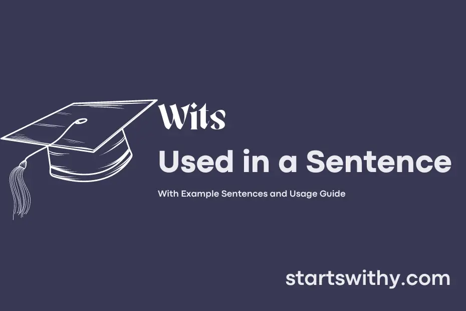 Sentence with Wits