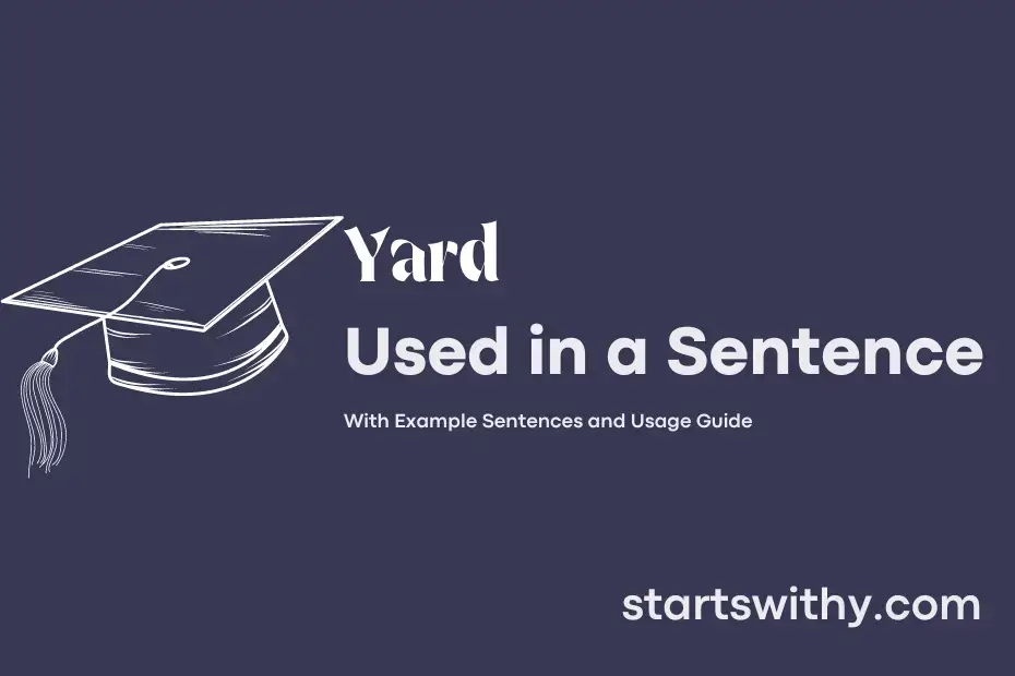 Sentence with Yard