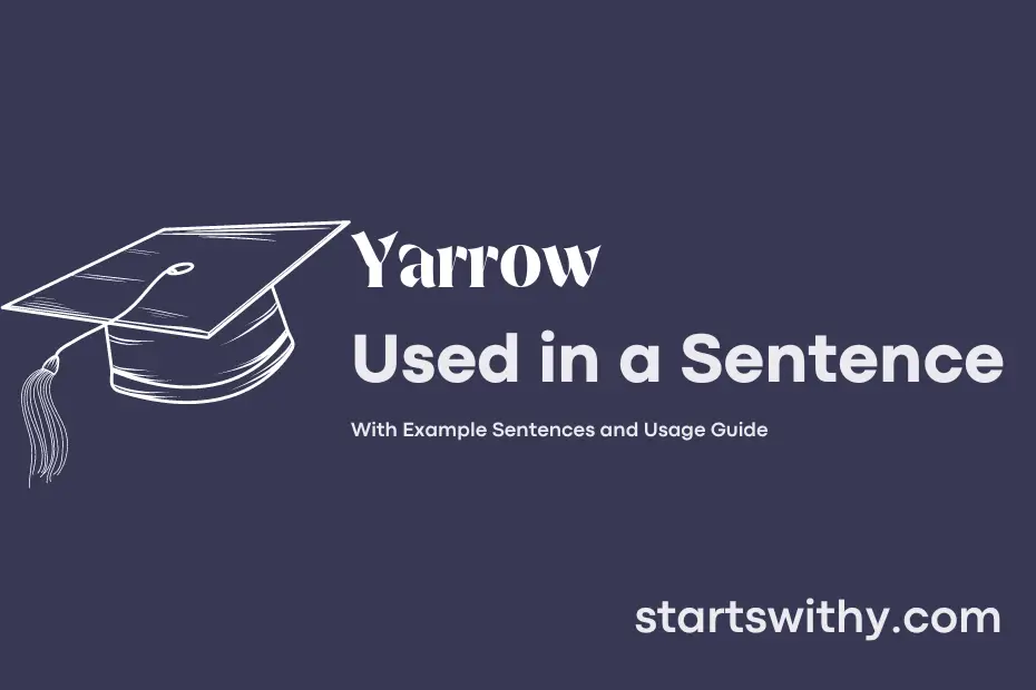 Sentence with Yarrow