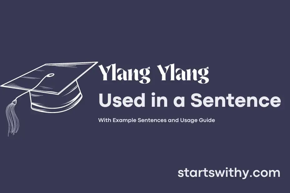 Sentence with Ylang Ylang