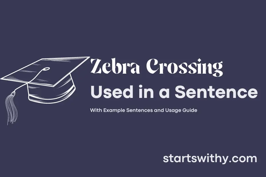 Sentence with Zebra Crossing
