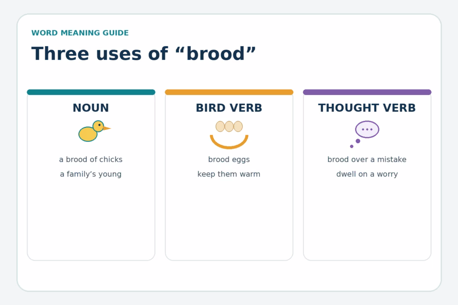 Three examples show brood as a group of young, a bird warming eggs, and someone dwelling on a worry.