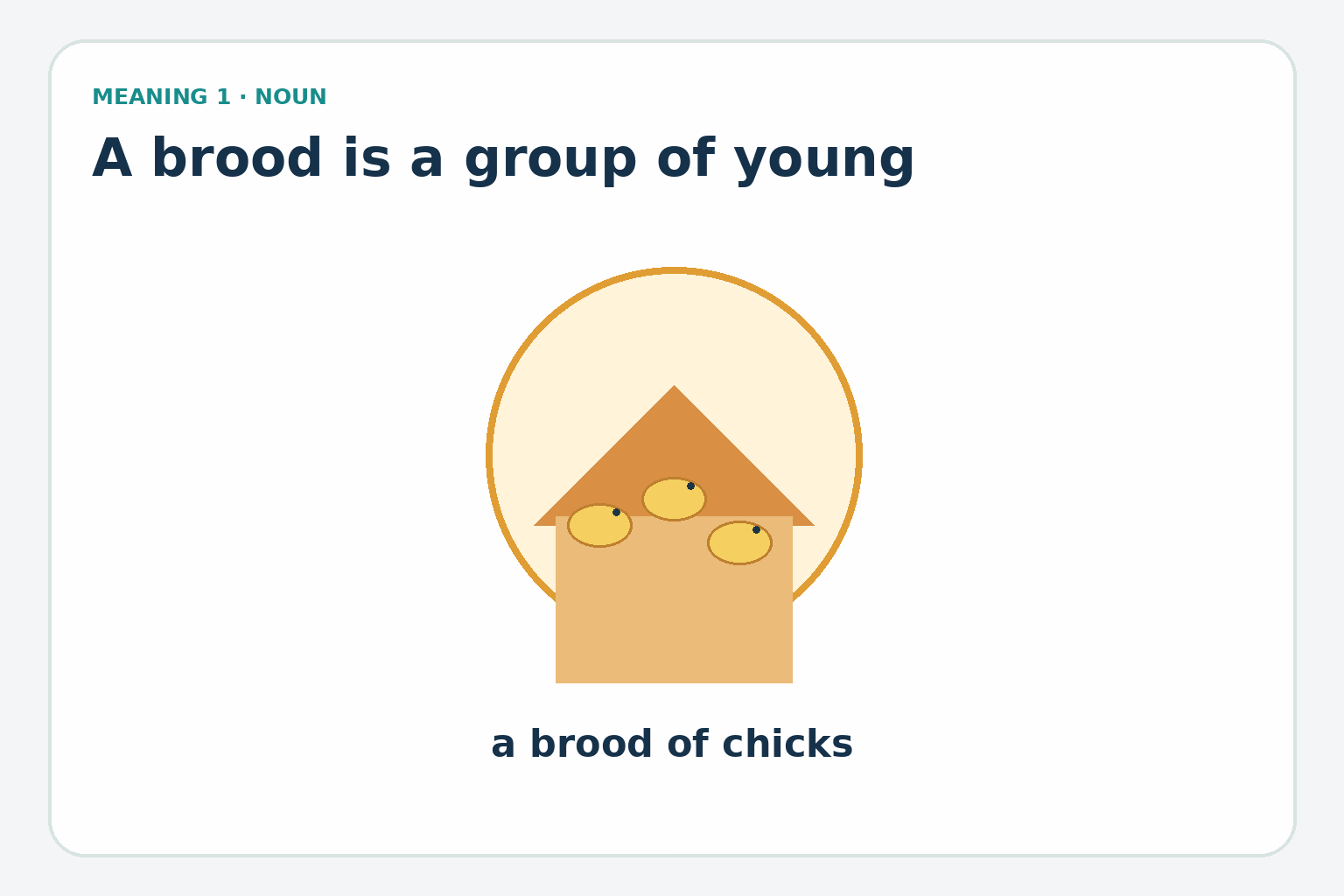 Brood as a Noun A hen stands beside a nest of chicks under the phrase “a brood of chicks.”