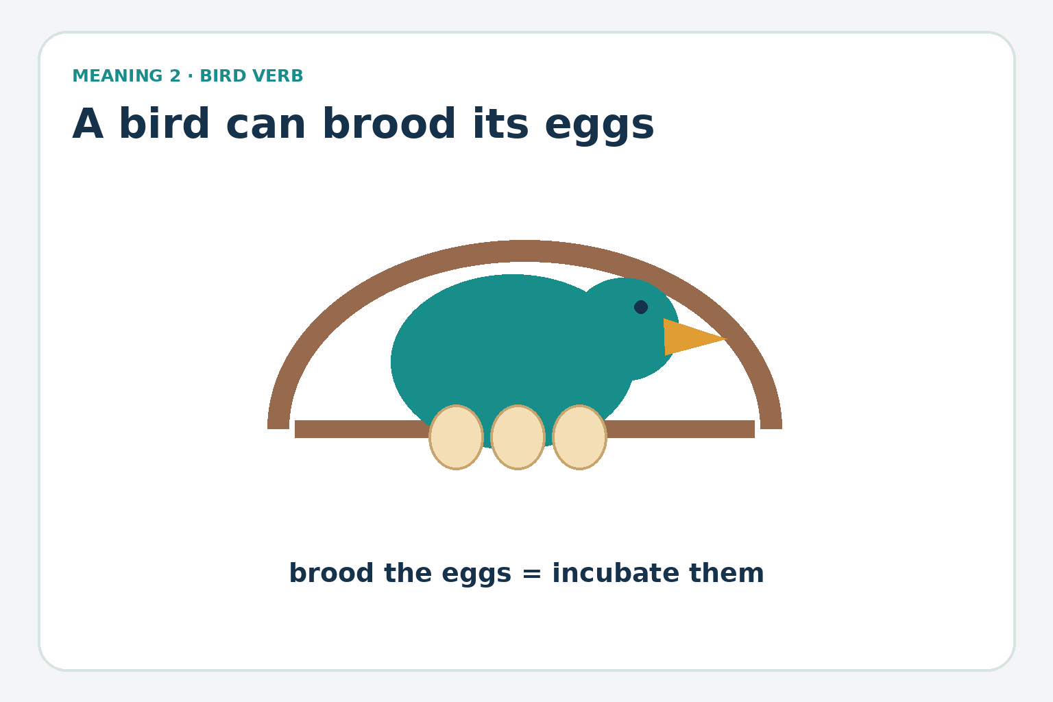 A Bird Can Brood Eggs A bird sits over eggs in a nest; the label explains that brood can mean incubate.