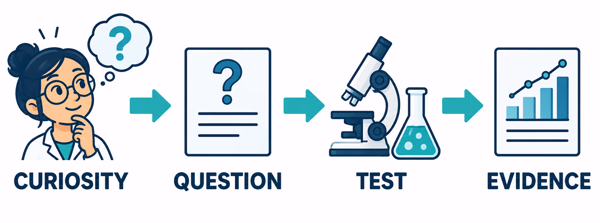 Four-step science process: curiosity leads to a question, then a test, then evidence