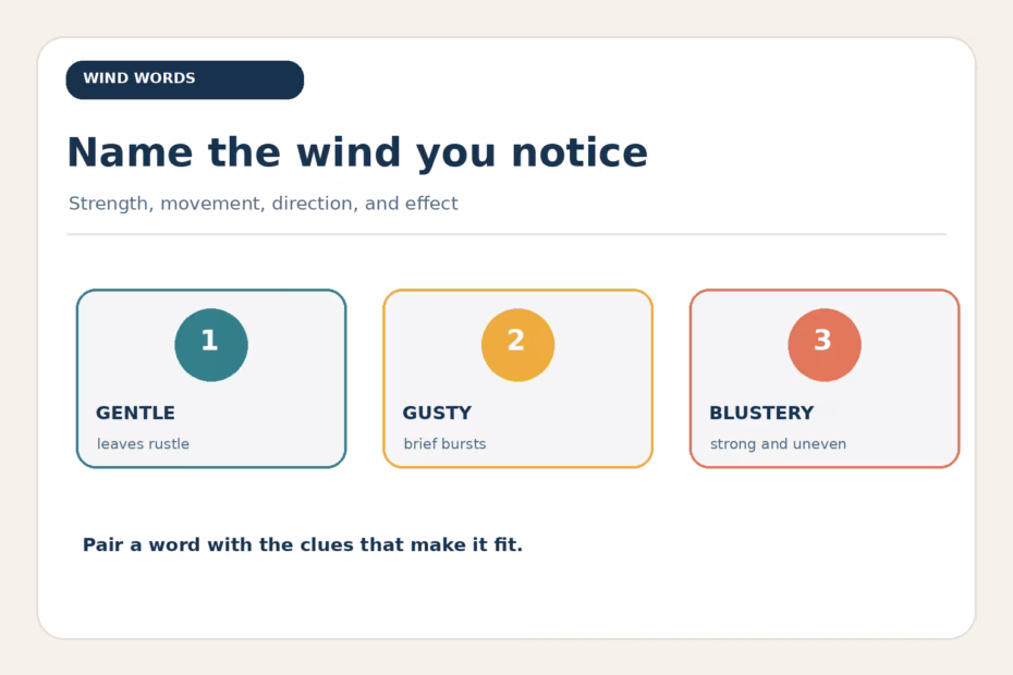 Wind can be gentle, gusty, or blustery: choose adjectives for its strength and pattern