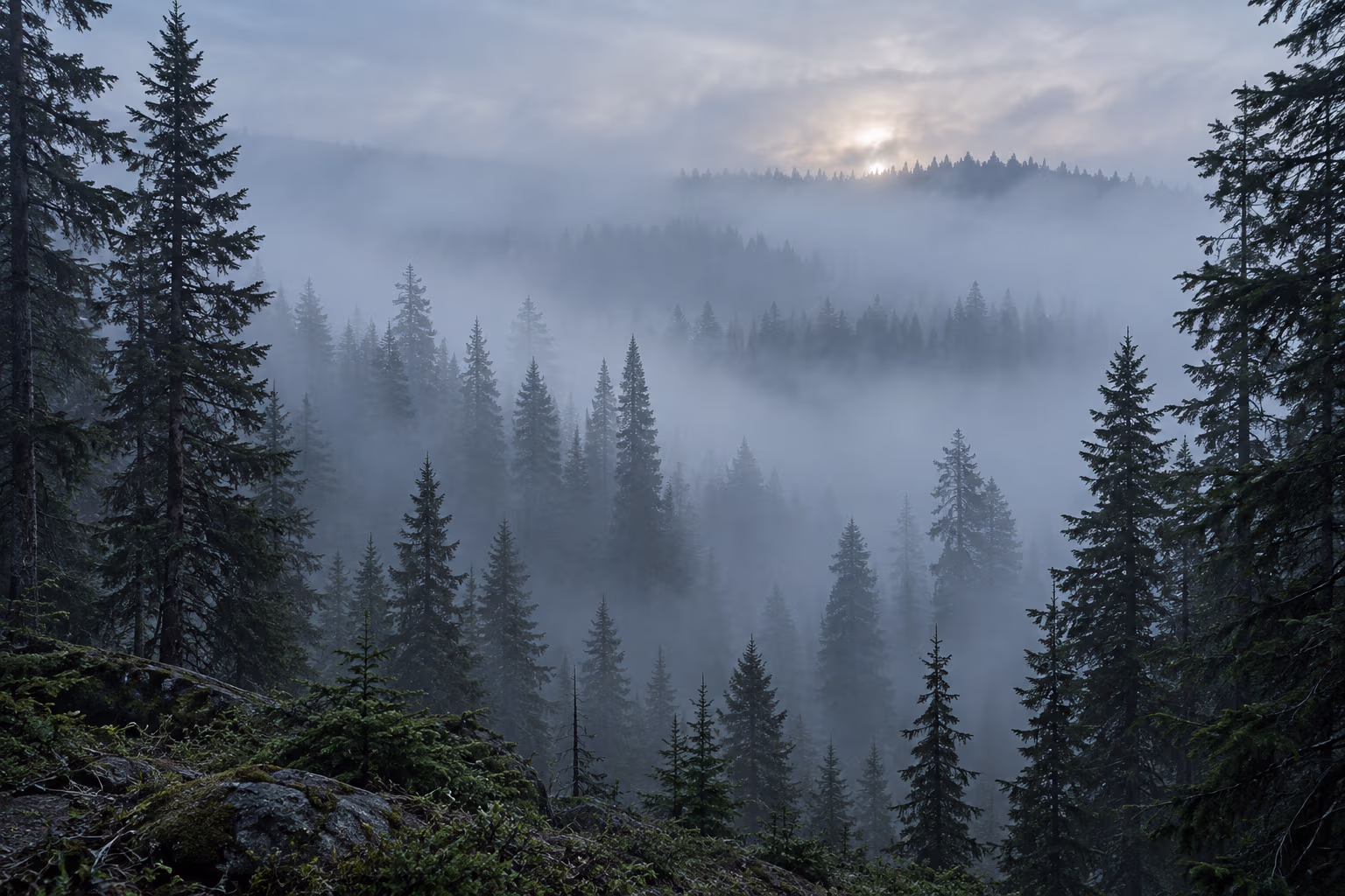 Mist drifts through forested mountain ridges in a deep valley.