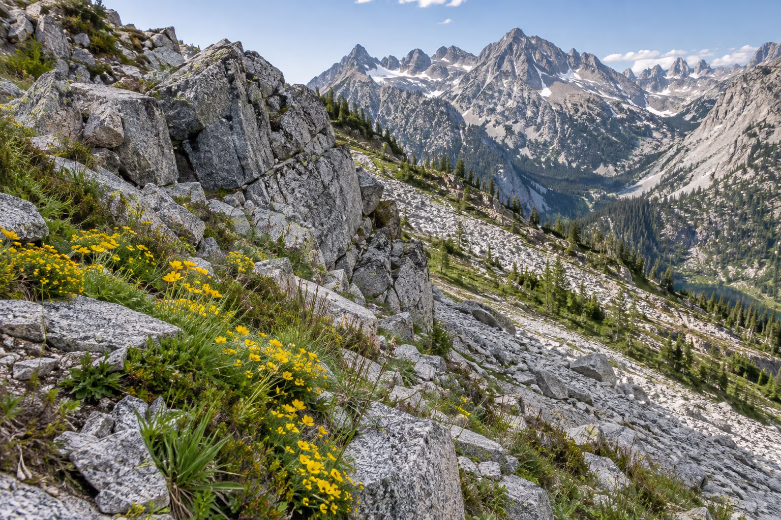 Fractured granite, pale scree, alpine grasses, and wildflowers cover a rugged mountain slope.