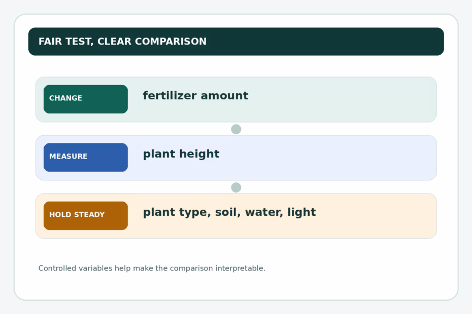 Experiment overview: change fertilizer amount, measure plant height, and keep plant type, soil, water, and light consistent.