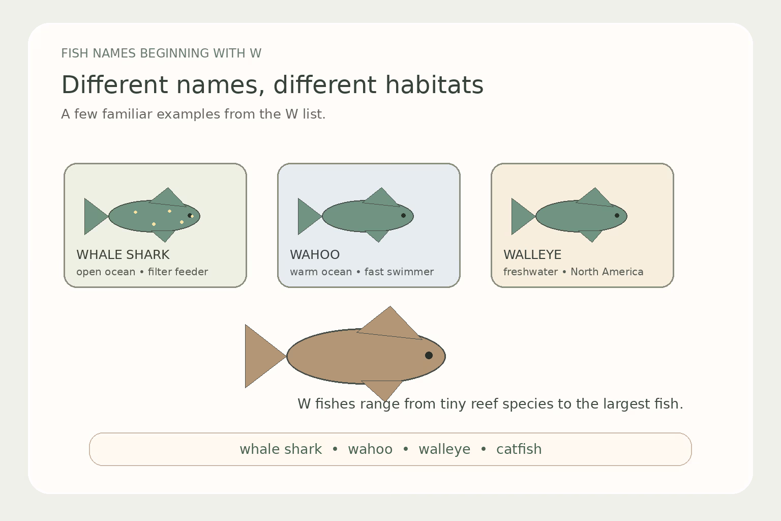 Illustrated comparison of a whale shark, wahoo, walleye, and catfish silhouettes with habitat labels.